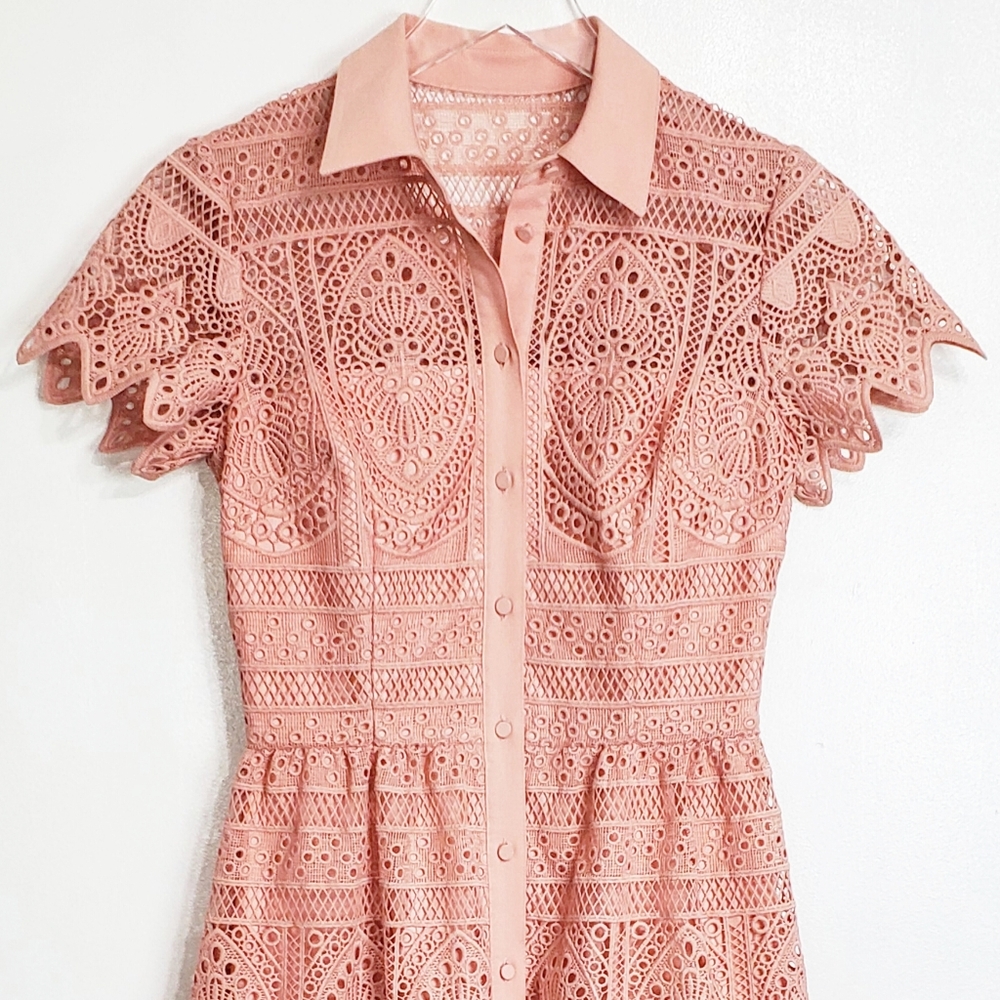 ANTONIO MELANI Blush Pink Lace Shirt Dress - Picture 3 of 14